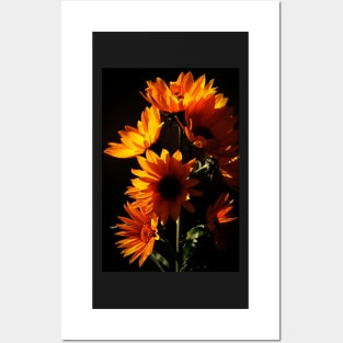 Maximilian Sunflowers Posters and Art